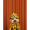 Animal Print Dog Hoodie, Yellow - Dog Clothes - 2