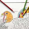 Turkey Color Placemat - Paper Goods - 2