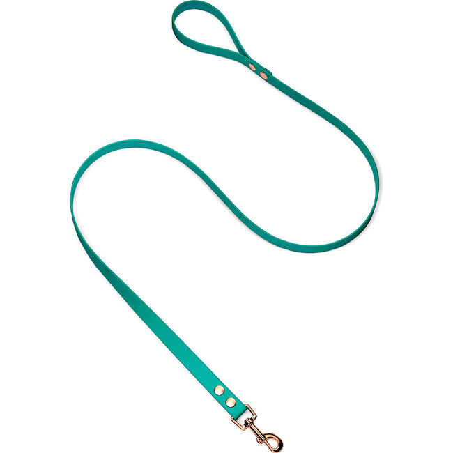 Leash, Rose Gold and Turquoise