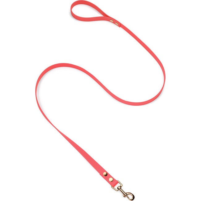 Leash, Rose Gold and Coral
