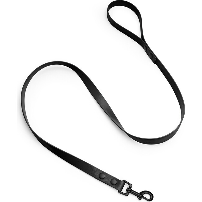 Leash, Matte Black and Black - Collars, Leashes & Harnesses - 1