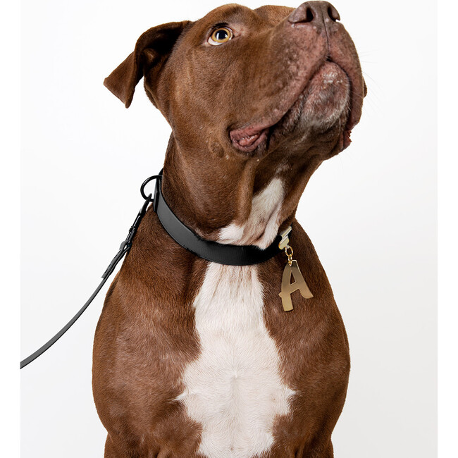 Leash, Matte Black and Black - Collars, Leashes & Harnesses - 2