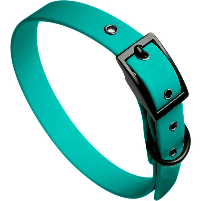 Collar, Matte Black and Turquoise