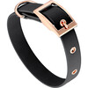 Collar, Rose Gold and Black - Collars, Leashes & Harnesses - 1 - thumbnail