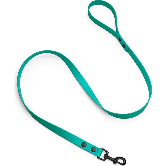 Leash, Matte Black and Turquoise