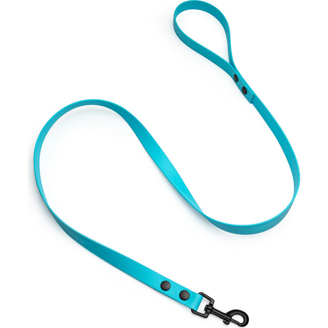 Leash, Matte Black and Blue - Collars, Leashes & Harnesses - 1