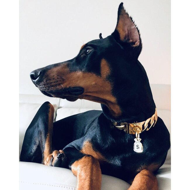 Money Bag Tag, Gold and Black - Pet ID Tags - 3