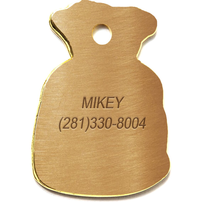Money Bag Tag, Gold and Black