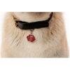 Rose Pet ID Tag, Red and Silver - Pet ID Tags - 2