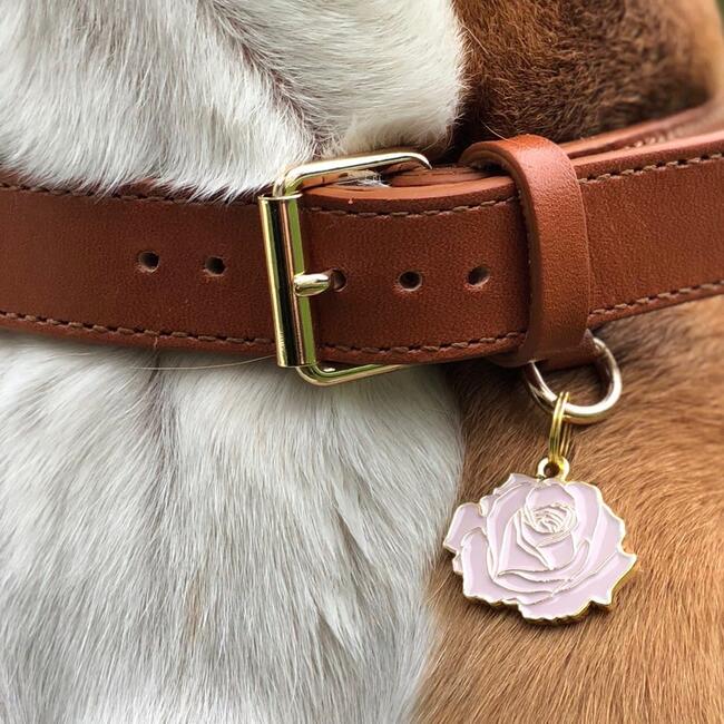 Rose Pet ID Tag, Pink and Gold