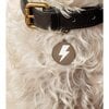 Lightning Bolt Pet ID Tag, Silver and White - Pet ID Tags - 2