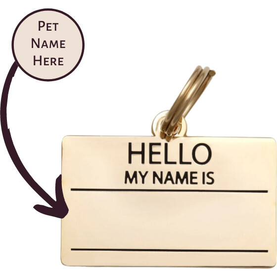 Hello My Name is Pet ID Tag, Gold