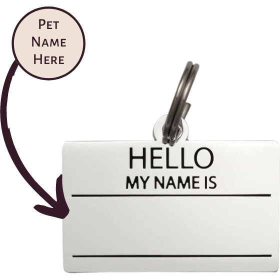 Hello My Name is Pet ID Tag, Silver