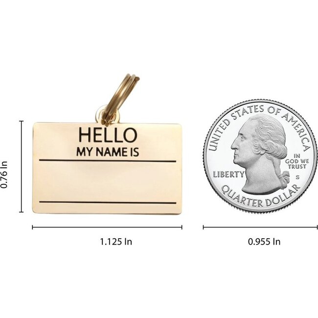 Hello My Name is Pet ID Tag, Gold - Pet ID Tags - 3