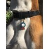 I Tried Pet ID Tag - Pet ID Tags - 3