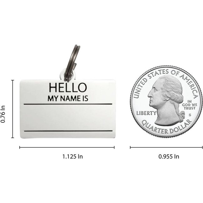 Hello My Name is Pet ID Tag, Silver - Pet ID Tags - 4