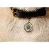 Daisy Pet ID Tag - Pet ID Tags - 4