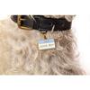 Good Boy Pet ID Tag - Pet ID Tags - 3