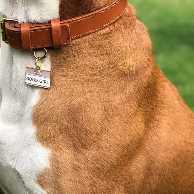 Good Girl Pet ID Tag - Pet ID Tags - 2