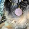 Adopt Don't Shop Pet ID Tag, Pink - Pet ID Tags - 3 - thumbnail