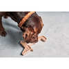 Volpe Activity Dog Toy, Nude - Pet Toys - 2