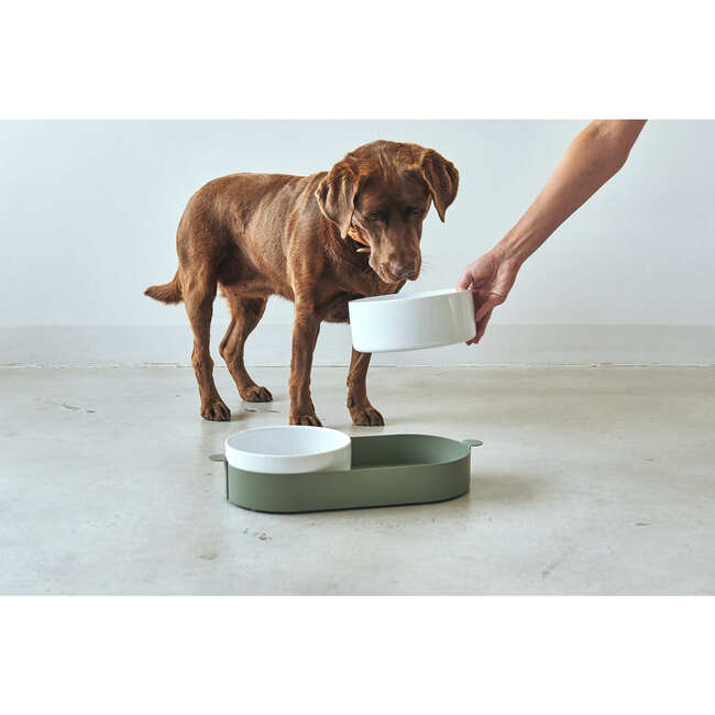 Tavoletta Dog Bowl Set, Dusty Green