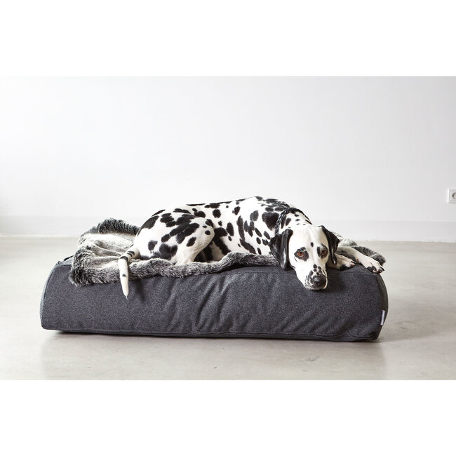 Stella Dog Lounge Cushion, Mottled Anthracite
