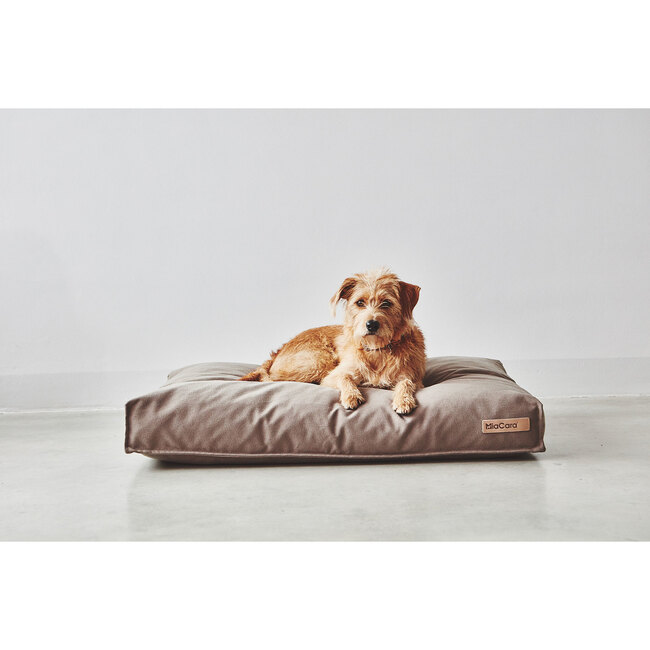 Stella Dog Cushion, Taupe