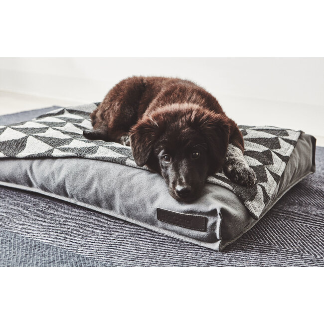 Stella Dog Cushion, Slate