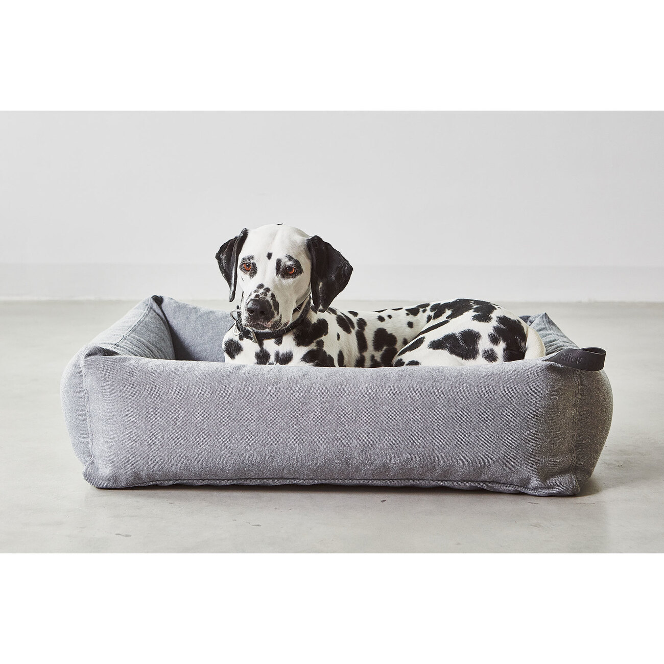 Stella dog bed new arrivals