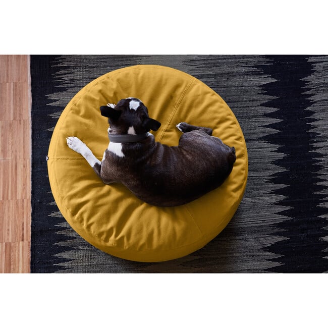 Stella Dog Pouffe, Saffron