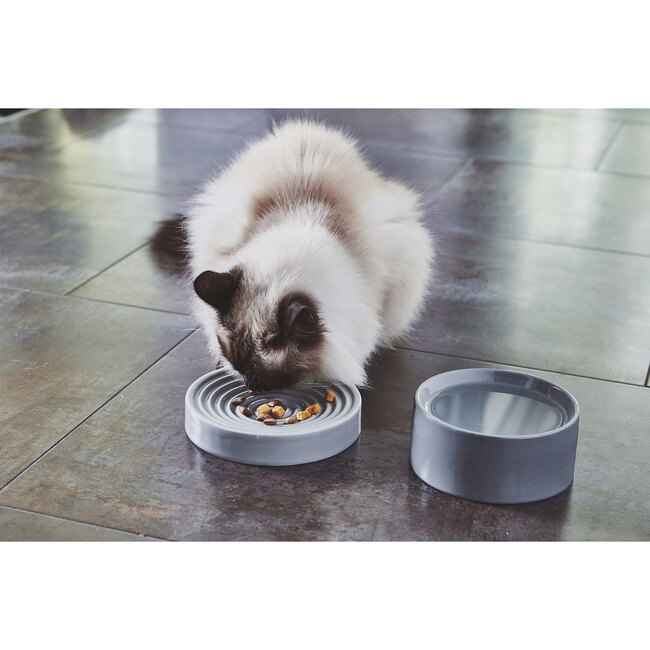 Piatto Cat Bowl, Concrete - Pet Bowls & Feeders - 2