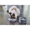 Piatto Cat Bowl, Concrete - Pet Bowls & Feeders - 2