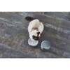 Piatto Cat Bowl, Concrete - Pet Bowls & Feeders - 3