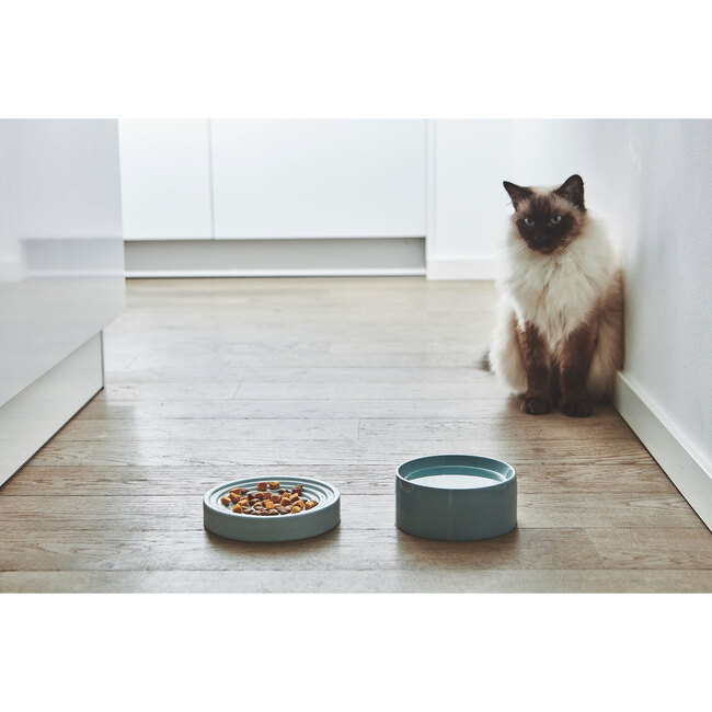Piatto Cat Bowl, Pine - Pet Bowls & Feeders - 2