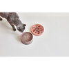 Piatto Cat Bowl, Berry - Pet Bowls & Feeders - 2 - thumbnail