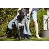 Panno Microfiber Dog, Towel - Pet Grooming - 4