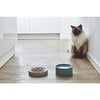 Fresco Cat Bowl, Pine - Pet Bowls & Feeders - 2