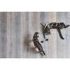 Filo Cat Toy Ball, Set of 3 - Pet Toys - 3