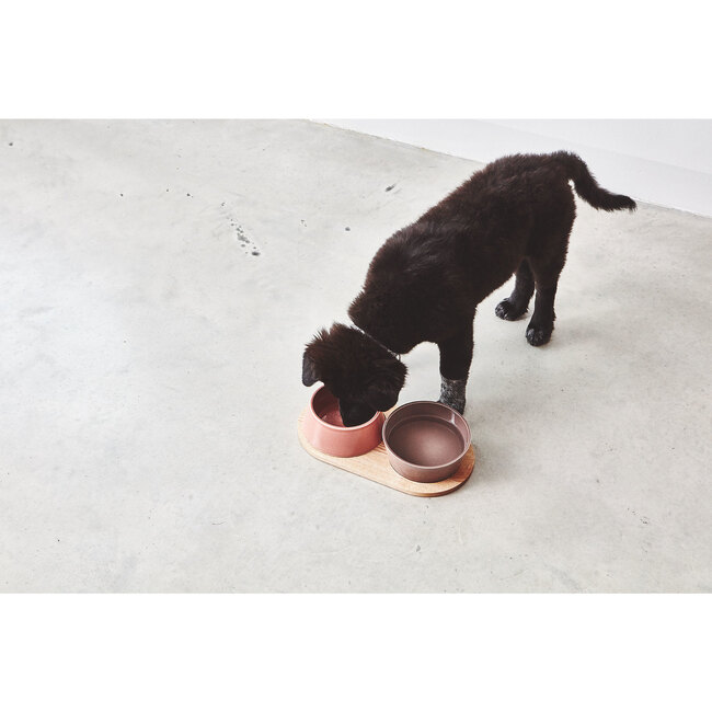 Doppio Dog Bowl Set, Berry