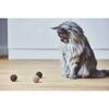 Filo Cat Toy Ball, Set of 3 - Pet Toys - 4