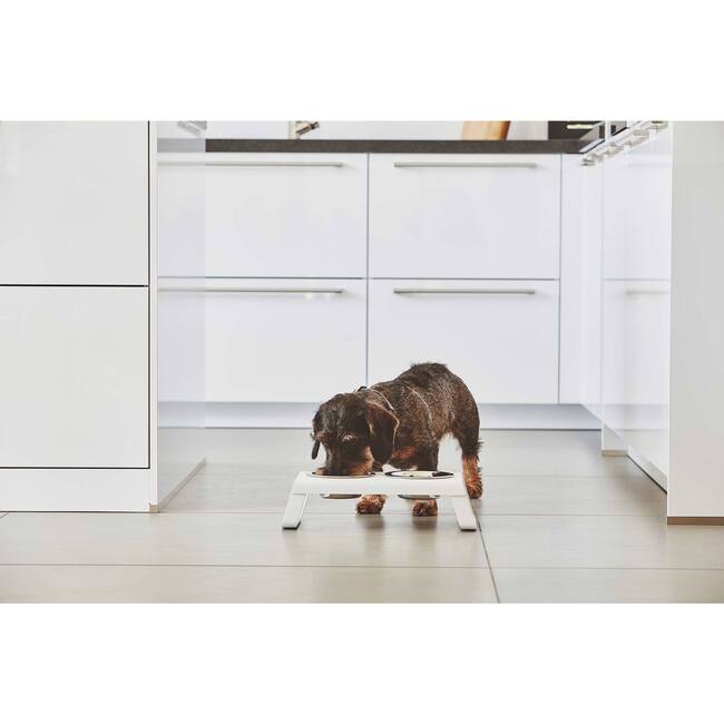 Desco Dog Feeder, Powder and Coated White - Pet Bowls & Feeders - 4