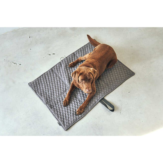 Cosmo Travel Dog Bed, Pebble and Graphite