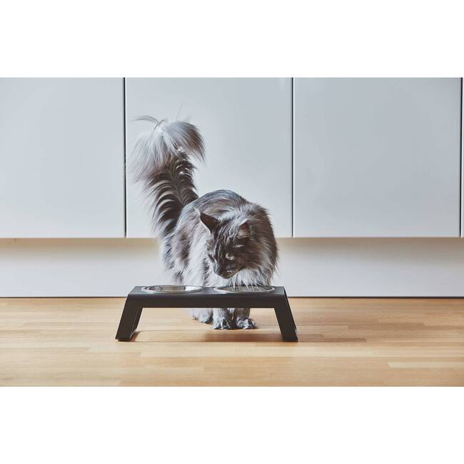 Desco Cat Feeder, Black - Pet Bowls & Feeders - 2