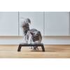 Desco Cat Feeder, Black - Pet Bowls & Feeders - 2