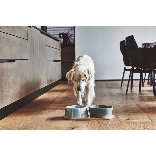 Doppio Dog Bowl Set, Concrete - Pet Bowls & Feeders - 4