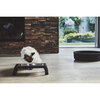 Desco Cat Feeder, Black - Pet Bowls & Feeders - 3