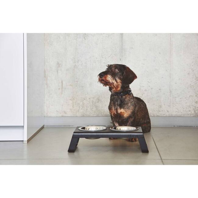 Desco Dog Feeder, Powder and Coated Black - Pet Bowls & Feeders - 5