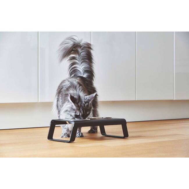 Desco Cat Feeder, Black - Pet Bowls & Feeders - 4