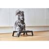 Desco Cat Feeder, Black - Pet Bowls & Feeders - 4